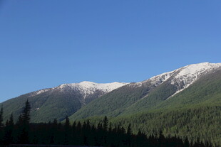 雪山下的葱郁山林