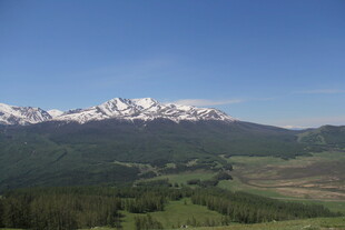 壮丽雪山下的广袤绿野