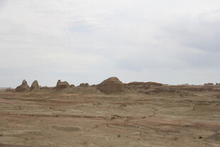 荒凉沙漠中的奇特土丘景观