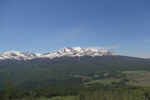 雪山下的翠绿山林