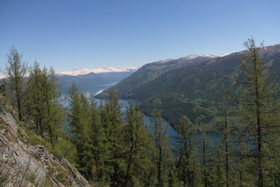 山间湖畔松林美景