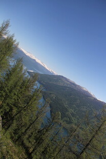 山林间远眺巍峨雪山