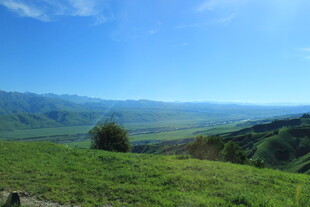 广袤绿野 远山蓝天美景