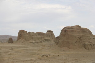 沙漠中的奇特土丘景观