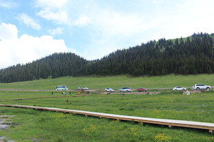 草原风光 漫步木栈道赏景