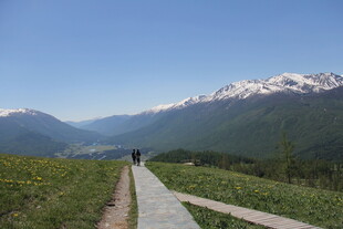 山间步道 漫步自然美景