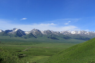 草原与雪山的壮美风光