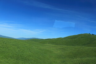 广袤绿野上的蓝天美景