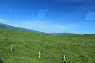 草原风光 蓝天白云下的绿野