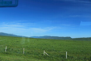 草原风光 蓝天白云下的牧场