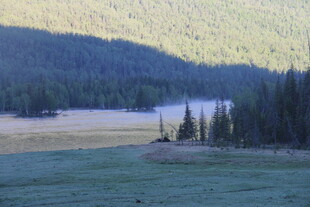 山间静谧湖泊与葱郁森林