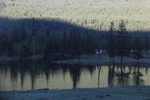 宁静湖畔的山林风光