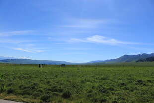 广袤草原与远处山峦美景