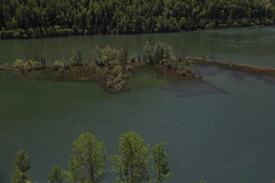 湖畔绿树环绕的静谧风光