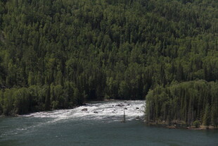 森林环绕的湍急河流