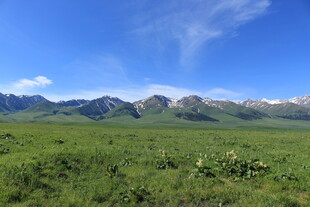 草原蓝天远山自然美景