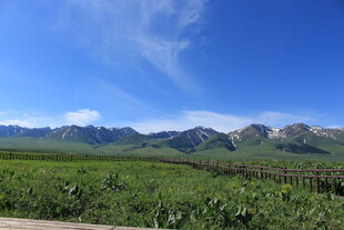 田园绿野间的壮美山峦