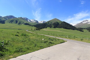 山间公路旁的绿野风光