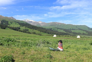 草原上的惬意休憩时光