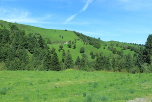 翠绿山野间的清新风光