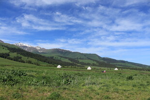 草原风光 远处山峦与羊群
