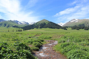 山间绿野小溪风景图