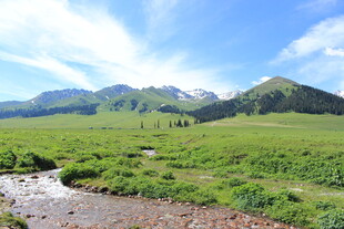 草原山间溪流美景