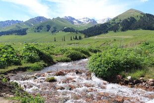山间溪流 绿野与远山