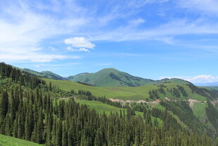 青山翠林间的秀丽风光