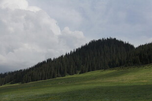 山间绿野 云下葱郁森林