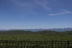 田园风光中的远山与围栏