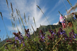 山间野花与飘扬的旗帜