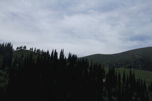 山林云雾间的静谧景致