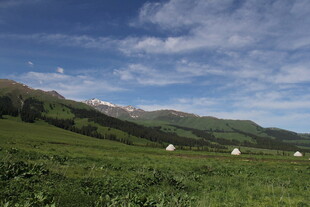 草原风光与远处雪山美景