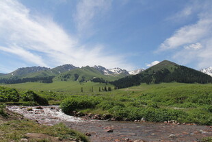山间溪流旁的秀丽自然风光