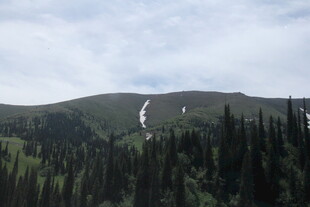 山林间的瀑布景观