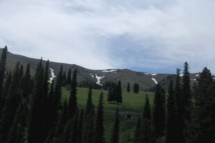 山林美景 云绕葱郁树木