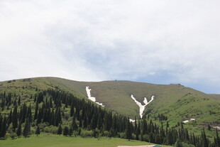山间雪痕与葱郁林木