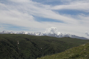 高山草甸与远处雪山美景