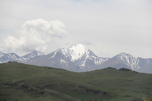 雪山下的葱郁草原
