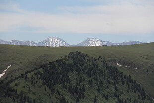 山峦葱郁间的雪顶风光