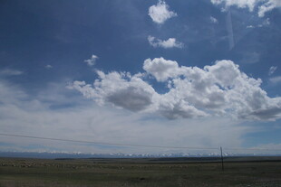 蓝天白云下的广袤原野