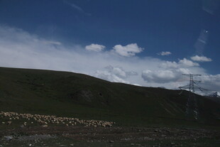 草原羊群与蓝天美景
