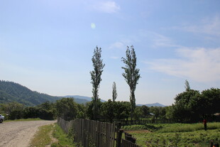 乡村田野间的宁静小路