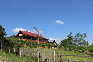 乡村田园小屋风景