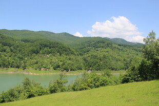 青山绿水间的美丽湖景