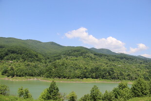 青山绿水间的秀丽风光