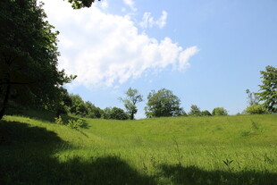 翠绿草地与蓝天白云美景
