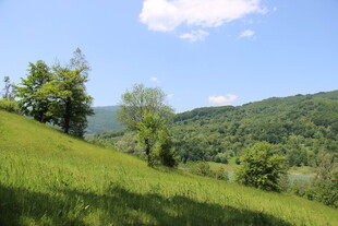 青山绿野间的自然美景