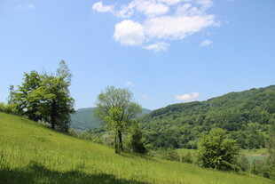 青山绿野间的自然美景